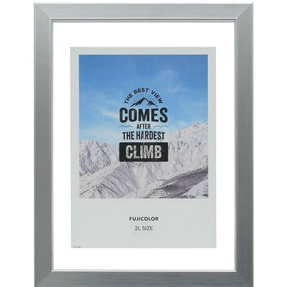 《3月6日発売予定》 フジカラー フローティーフレーム メタル調 2L シルバー