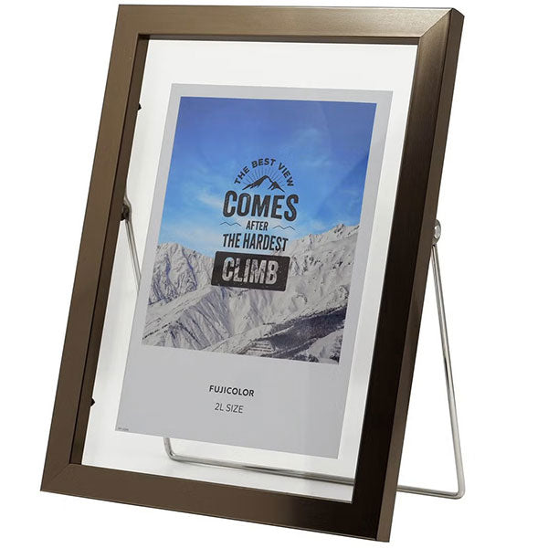 《3月6日発売予定》 フジカラー フローティーフレーム メタル調 2L ブロンズ