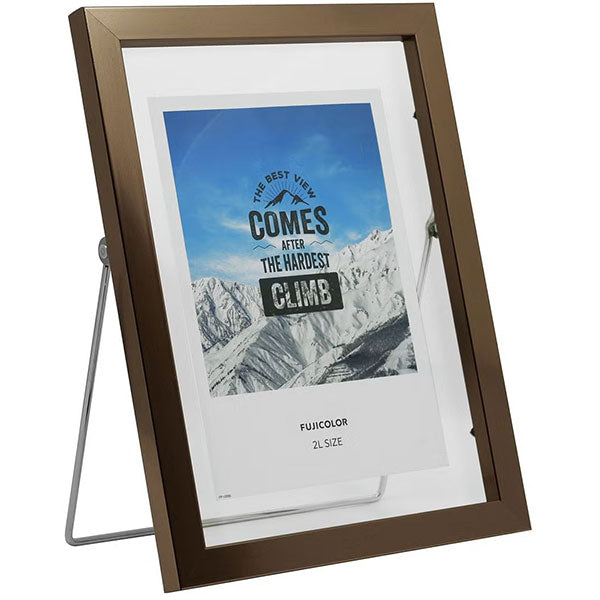 《3月6日発売予定》 フジカラー フローティーフレーム メタル調 2L ブロンズ