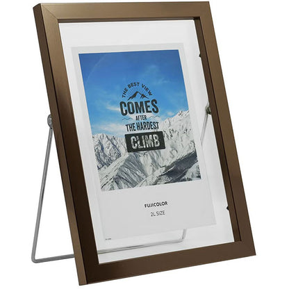 《3月6日発売予定》 フジカラー フローティーフレーム メタル調 2L ブロンズ