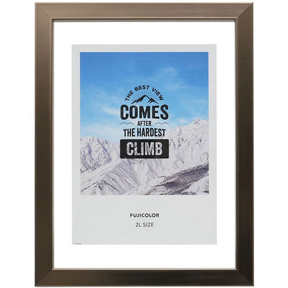 《3月6日発売予定》 フジカラー フローティーフレーム メタル調 2L ブロンズ