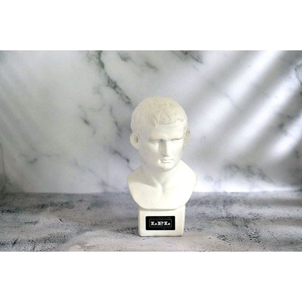 LPL L18586 ウェブスタジオWS-700S