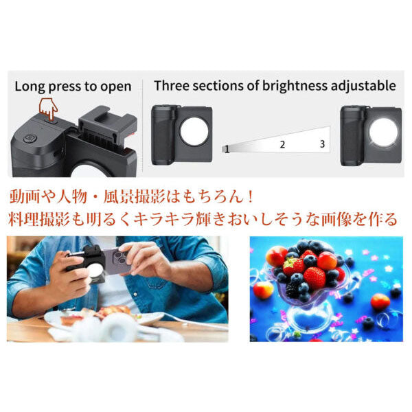 LPL L26737 ユニバーサルスマホライトUS-36M iPhone用LEDライト
