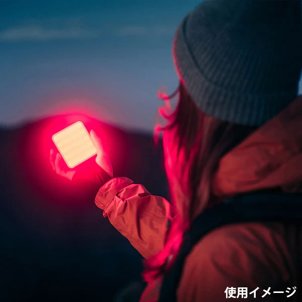 ケンコー・トキナー FIVERAY M20C FillLight ZHIYUN LEDライト 20W