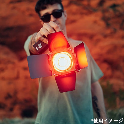 ケンコー・トキナー MOLUS X100 RGB Light PROエディション ZHIYUN LEDライト 100W(バイカラー) / 85W(RGB)