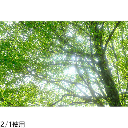 マルミ光機 40.5mm 1/4 Black Mist Screw-in
