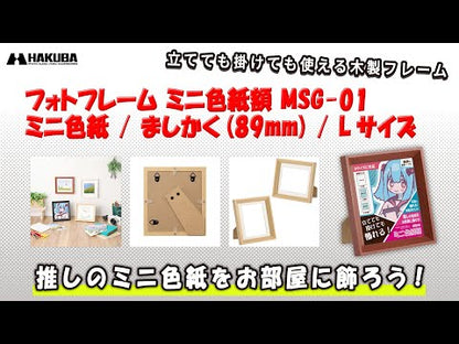 ハクバ FWMSG-01WT ミニ色紙額 MSG-01 ホワイト