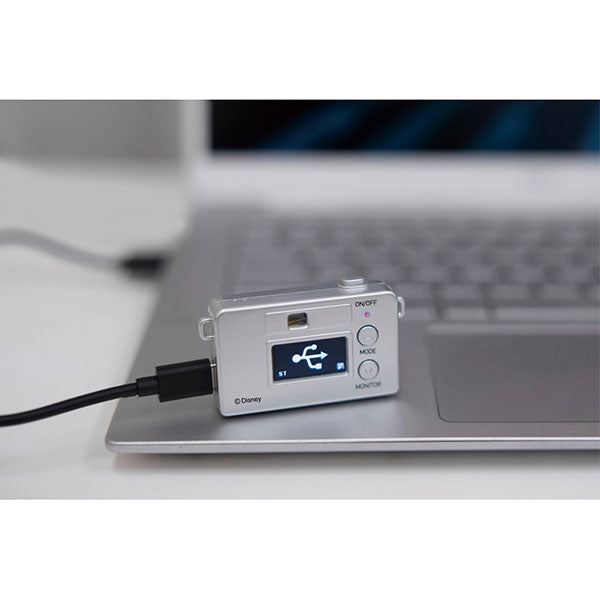 ケンコー・トキナー DSC-PIENI M PH ディズニーキャラクター トイカメラ くまのプーさん