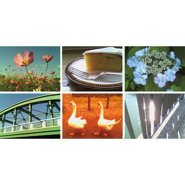 ケンコー・トキナー DSC-PIENI M PH ディズニーキャラクター トイカメラ くまのプーさん