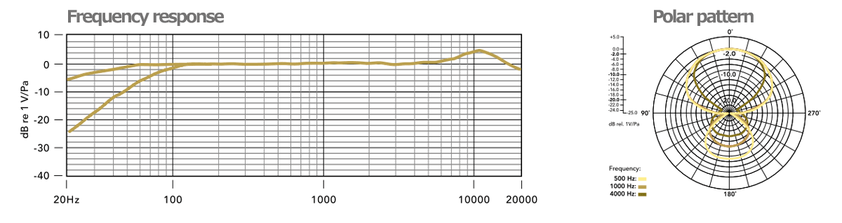 RODE NTG1 ショットガンマイク