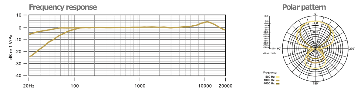 RODE NTG2 マルチパワードショットガンマイク