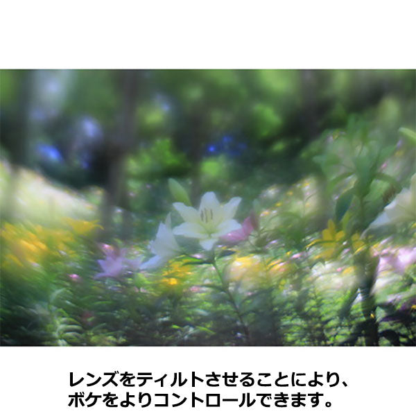 ケンコー・トキナー Lensbaby コンポーザープロII Soft Focus II ソニーEマウント用