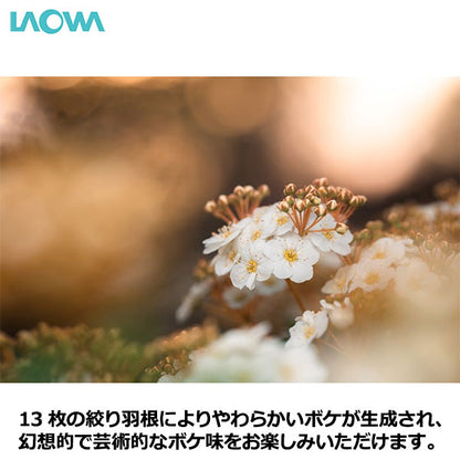 ラオワ LAOWA 90mm F2.8 2X UltraMacro APO ソニーFEマウント