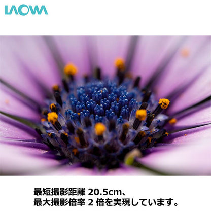 ラオワ LAOWA 90mm F2.8 2X UltraMacro APO ニコンZマウント