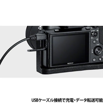 ソニー LCS-EBF ボディケース