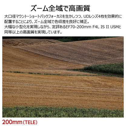 キヤノン RF70-200mm F4 L IS USM 望遠ズームレンズ 4318C001