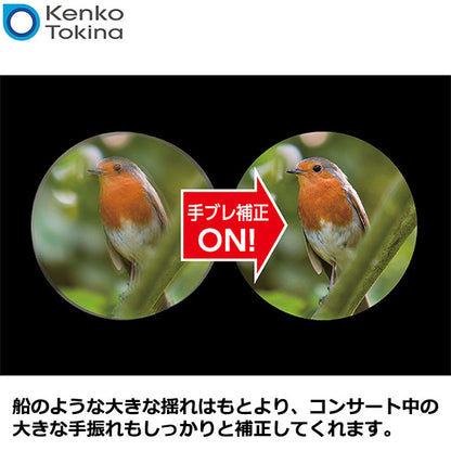《特価品》 ケンコー・トキナー Kenko 防振双眼鏡 VCスマート 10×30WP