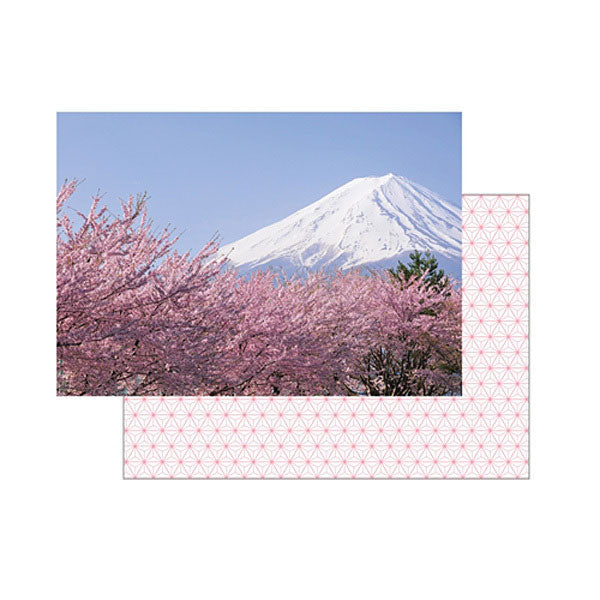 セキセイ PKA-715 パックンカバーアルバム 高透明 2Lサイズ20枚収納 富士山 春