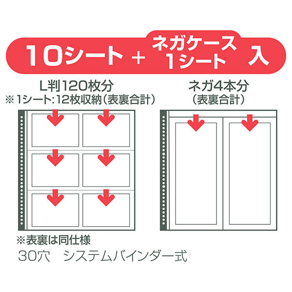 ハクバ フォトシステムファイル SF-1 L（E）サイズ用替台紙（10シート入） ホワイト台紙