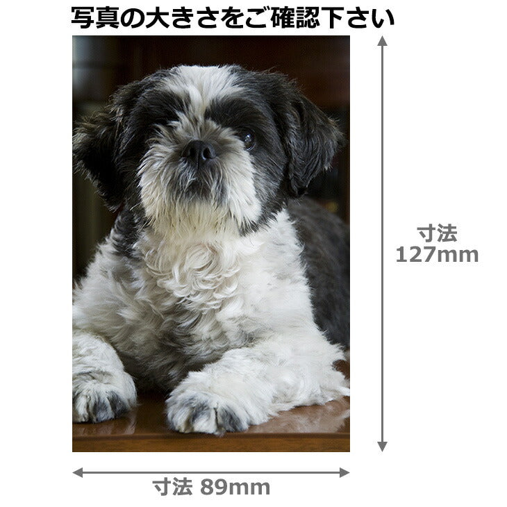 エツミ VE-5560 フォトアルバム エポカクラシック L80 レッド